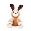 Pugs At Play Peek A Boo Dash 10-Inches Battery Operated