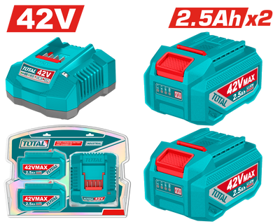 TOTAL Lithium-Ion Battery & Charger Kit – 42V, Includes 2× 2.5Ah Batteries  - P42M Series (TFBCPM25221)