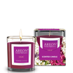 AREON Candles Lilac