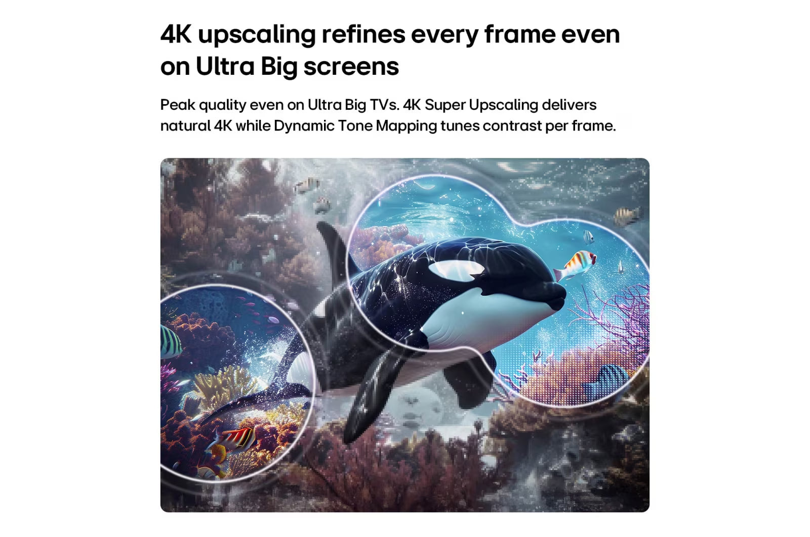 تلفزيون LG QNED70 Mini LED 4K الذكي مقاس 75 بوصة (2026)
