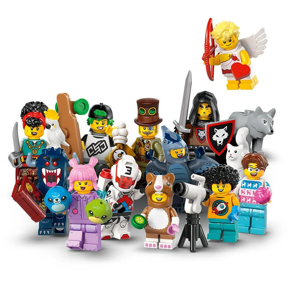 LEGO® Minifigures Series 27 Random Pack 71048
