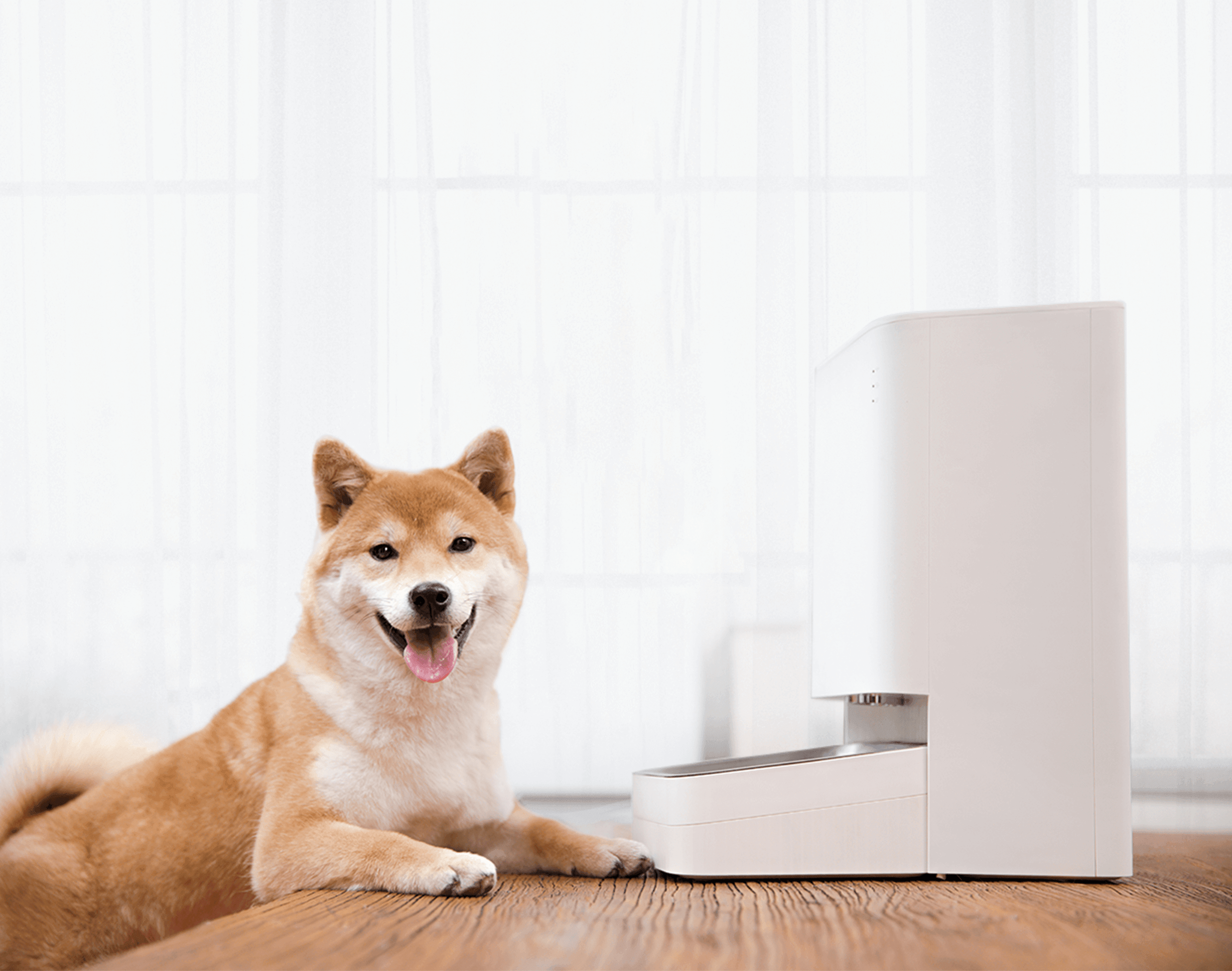 Xiaomi Smart Pet Food Feeder EU