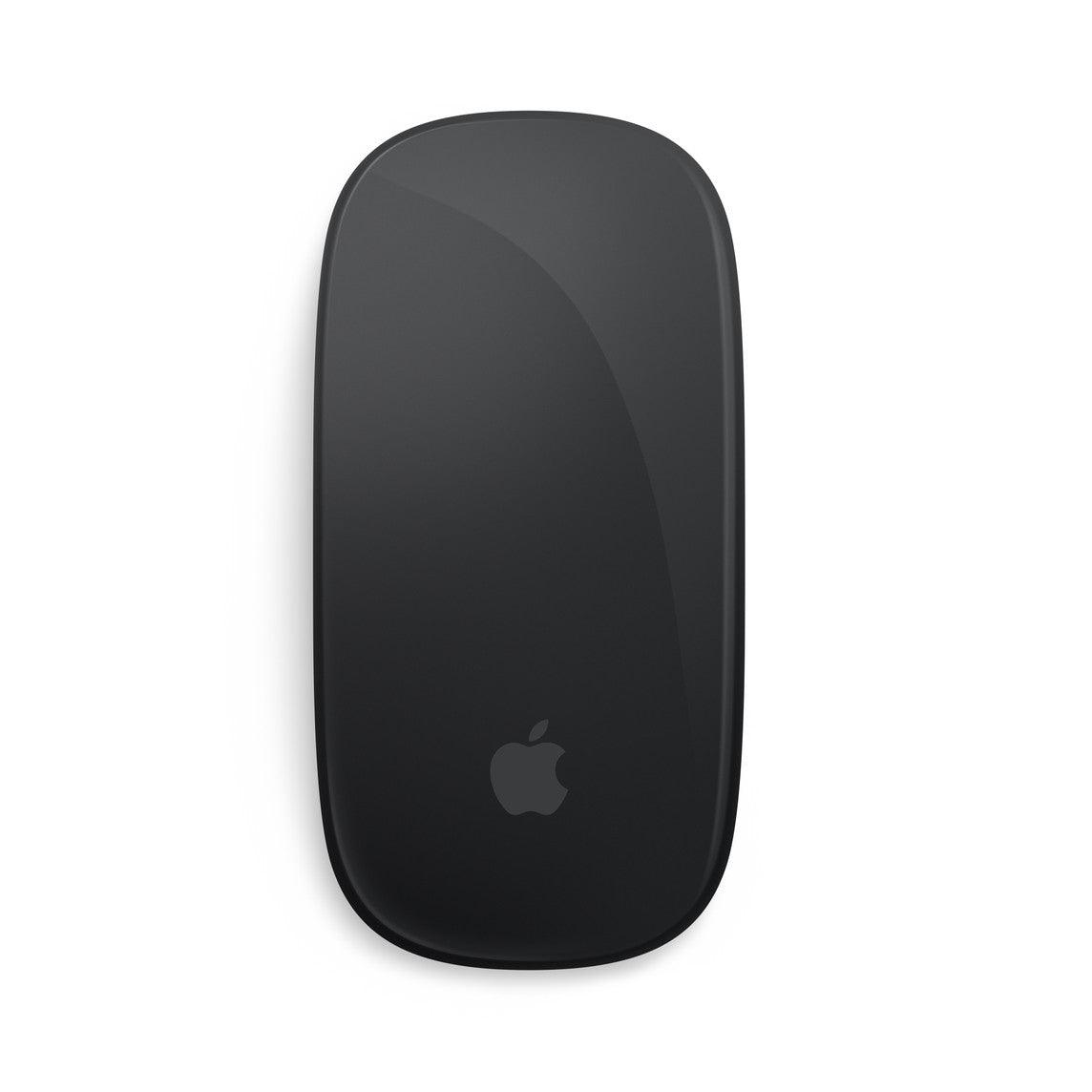 Apple - Magic Mouse / Multi-Touch Surface - Black