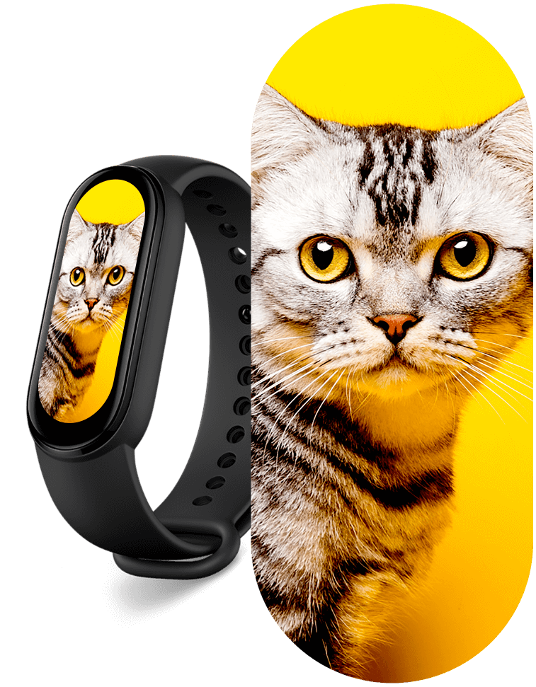 Mi Smart Band 6